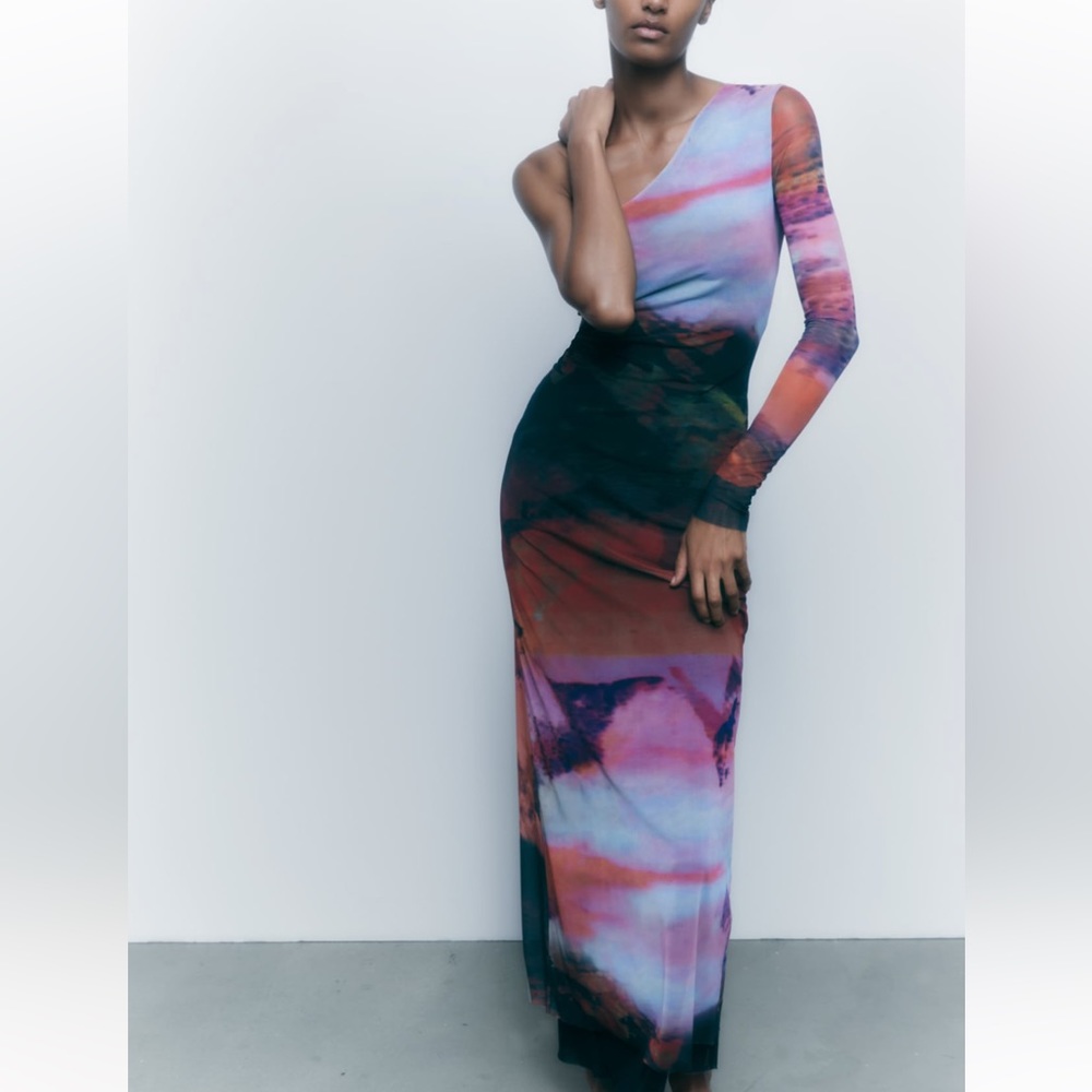 Zara Tulle One Should Dress